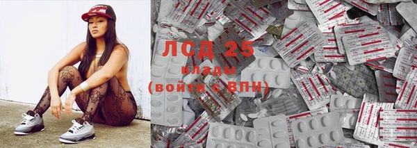 хмурый Пересвет