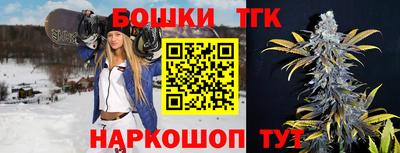 шишки Гусев