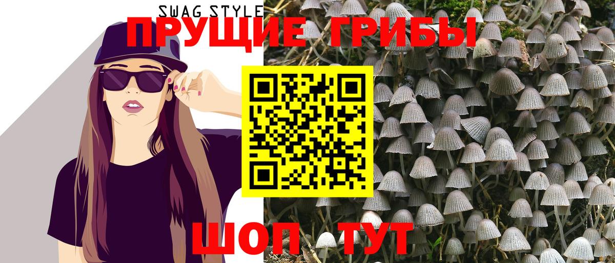 Галлюциногенные грибы Psilocybe Бирск