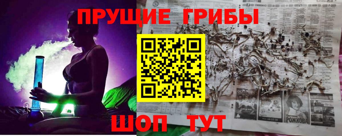 Галлюциногенные грибы Cubensis  Вход с VPN  Псилоцибиновые грибы Cubensis  Бирск 